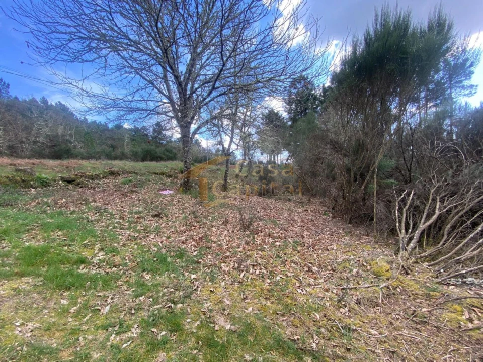 Terreno para Venda em São Tomé do Castelo e Justes Foto 3