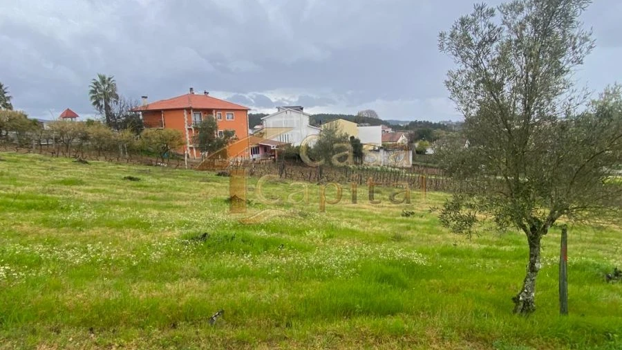 Terreno para Venda em Constantim e Vale de Nogueiras