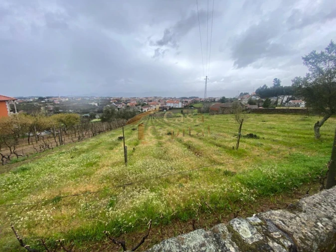 Terreno para Venda em Constantim e Vale de Nogueiras Foto 1