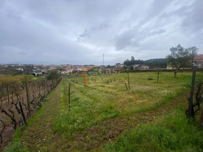 Terreno para Venda em Constantim e Vale de Nogueiras Foto 3