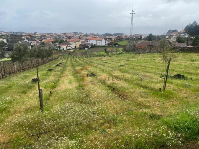 Terreno para Venda em Constantim e Vale de Nogueiras Foto 5