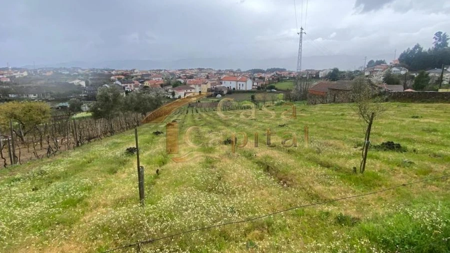 Terreno para Venda em Constantim e Vale de Nogueiras