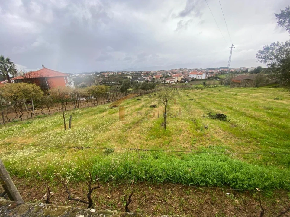 Terreno para Venda em Constantim e Vale de Nogueiras Foto 6