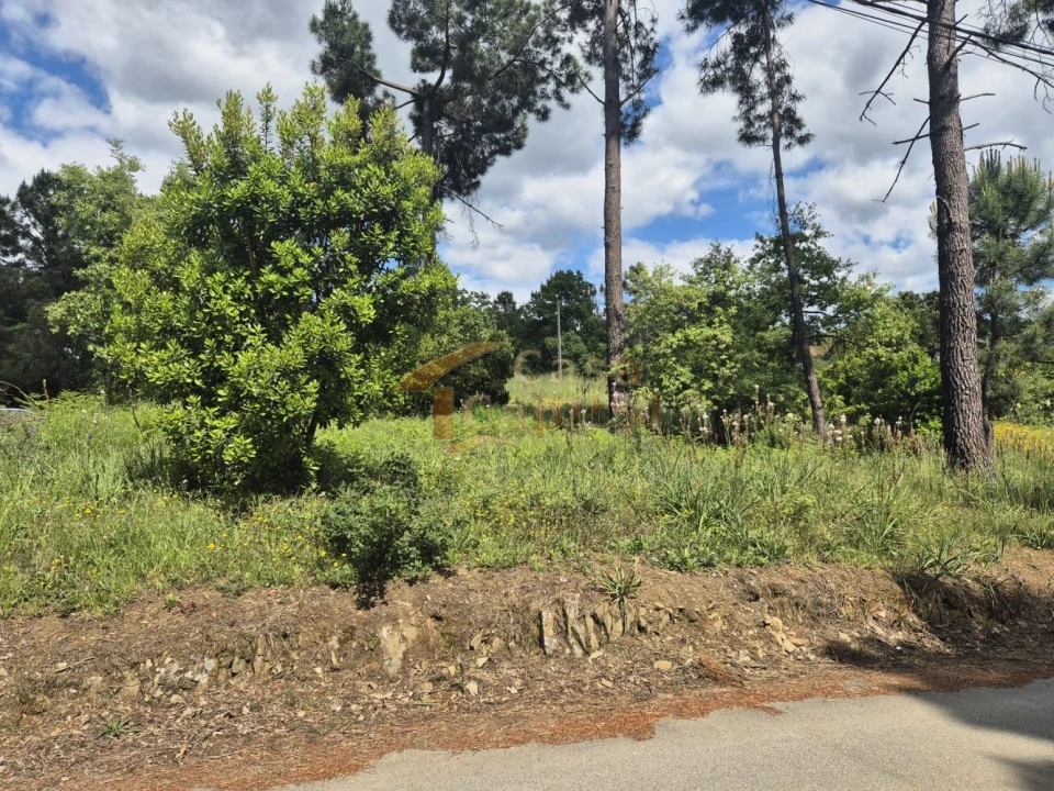 Terreno para Venda em Arroios Foto 6