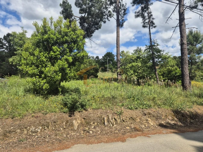 Terreno para Venda em Arroios Foto 6