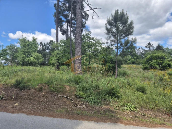 Terreno para Venda em Arroios Foto 5