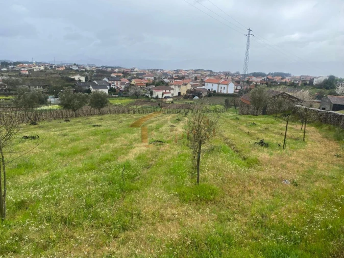 Terreno para Venda em Constantim e Vale de Nogueiras Foto 3