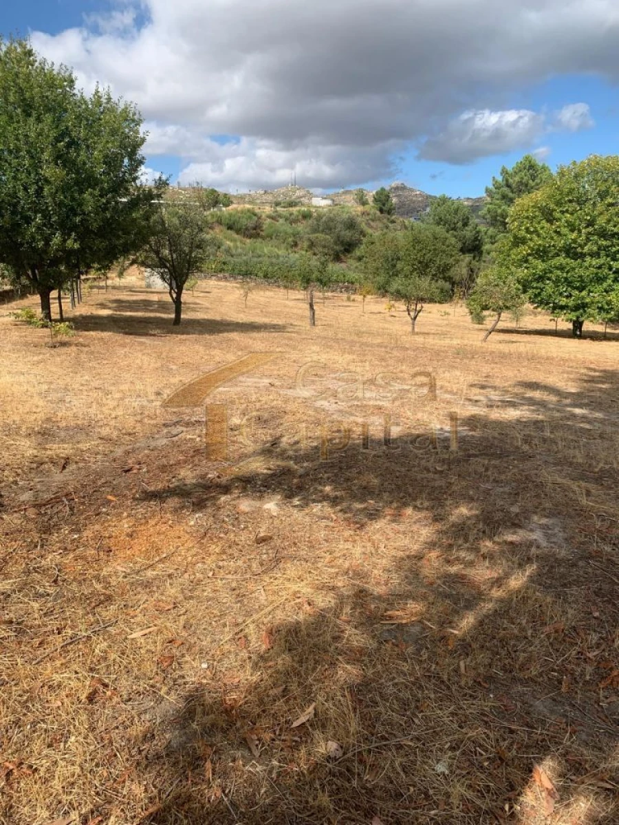 Terreno para Venda em São Tomé do Castelo e Justes Foto 9