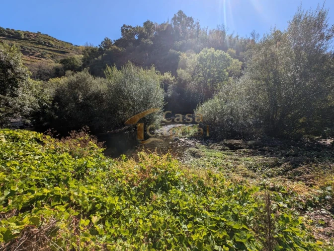 Quinta T0 para Venda em Alvações do Corgo Foto 18