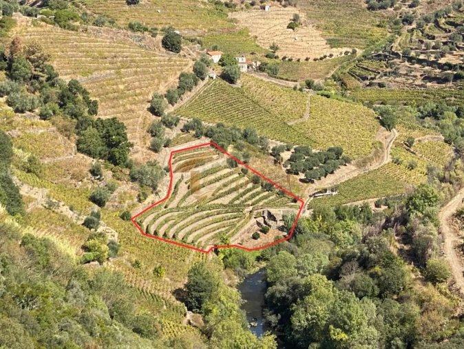 Quinta T0 para Venda em Alvações do Corgo Foto 25