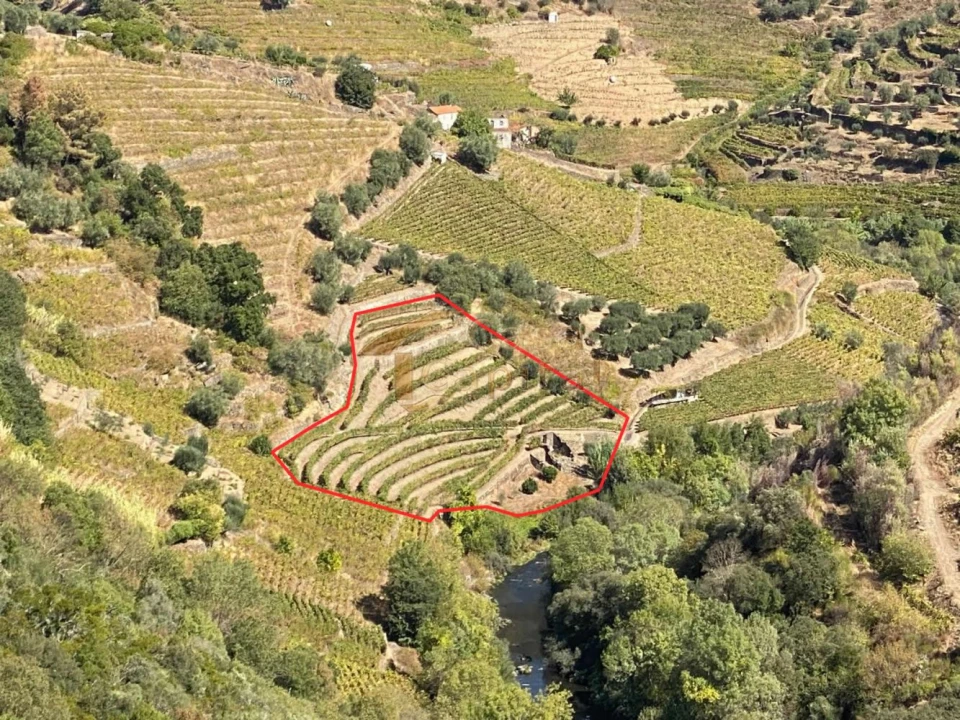 Quinta T0 para Venda em Alvações do Corgo Foto 25