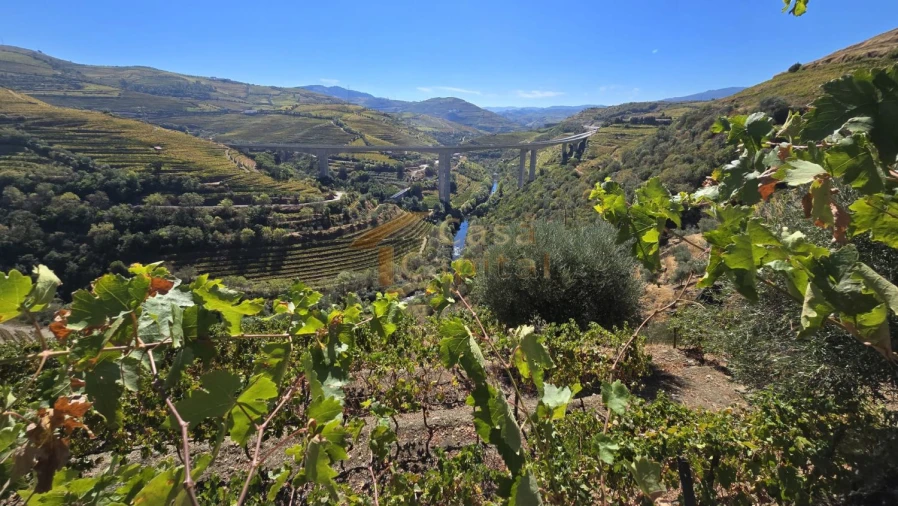 Quinta T0 para Venda em Lobrigos (São Miguel e São João Baptista) e Sanhoane Foto 12