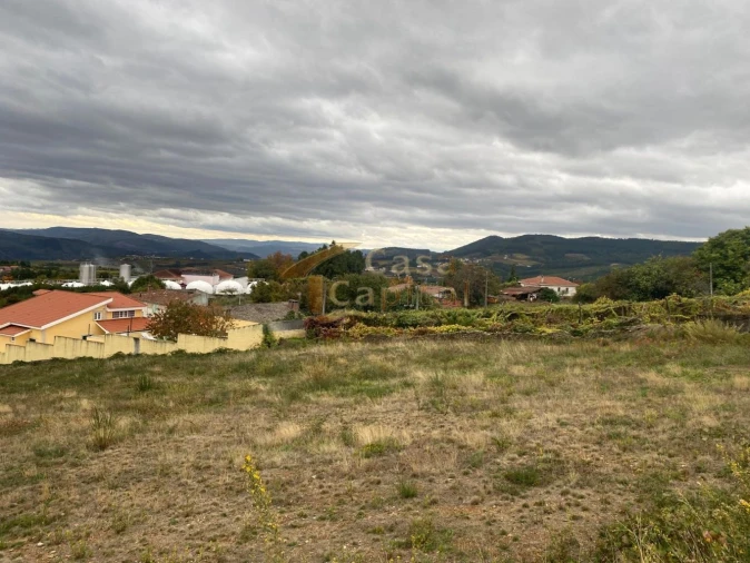Terreno para Venda em Sabrosa Foto 1