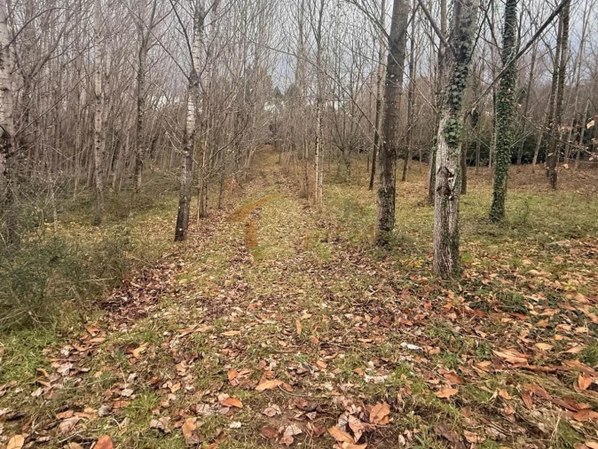 Terreno para Venda em Vila Marim Foto 9