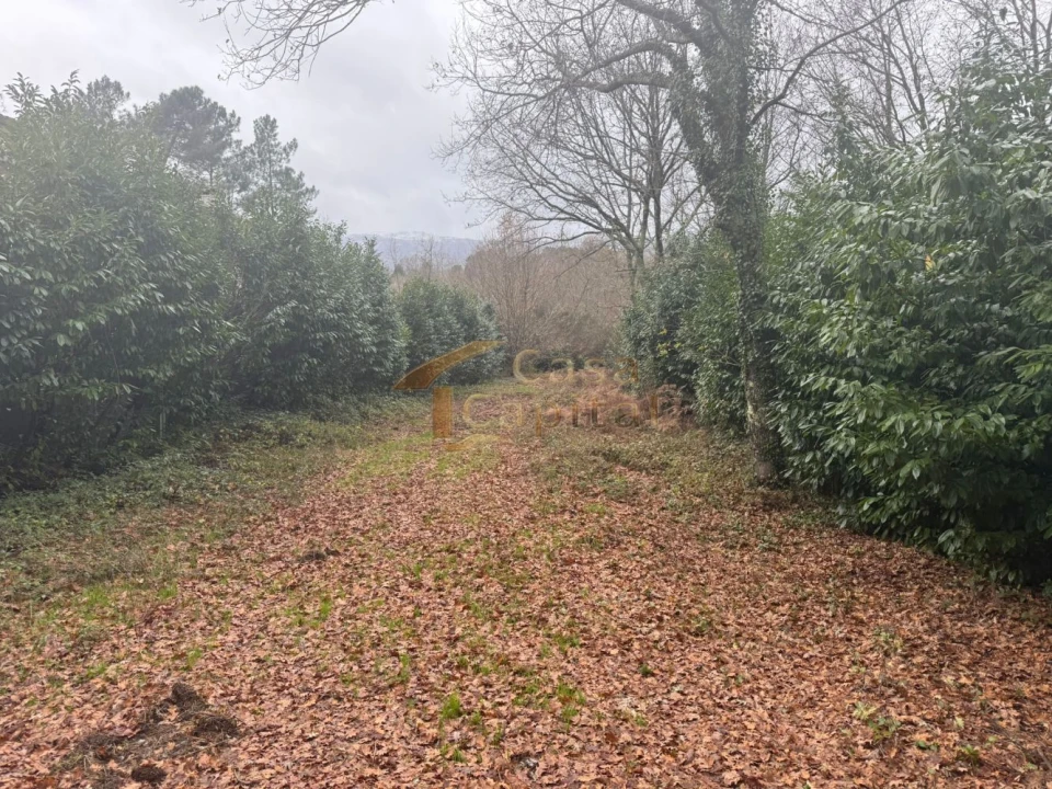 Terreno para Venda em Vila Marim Foto 12