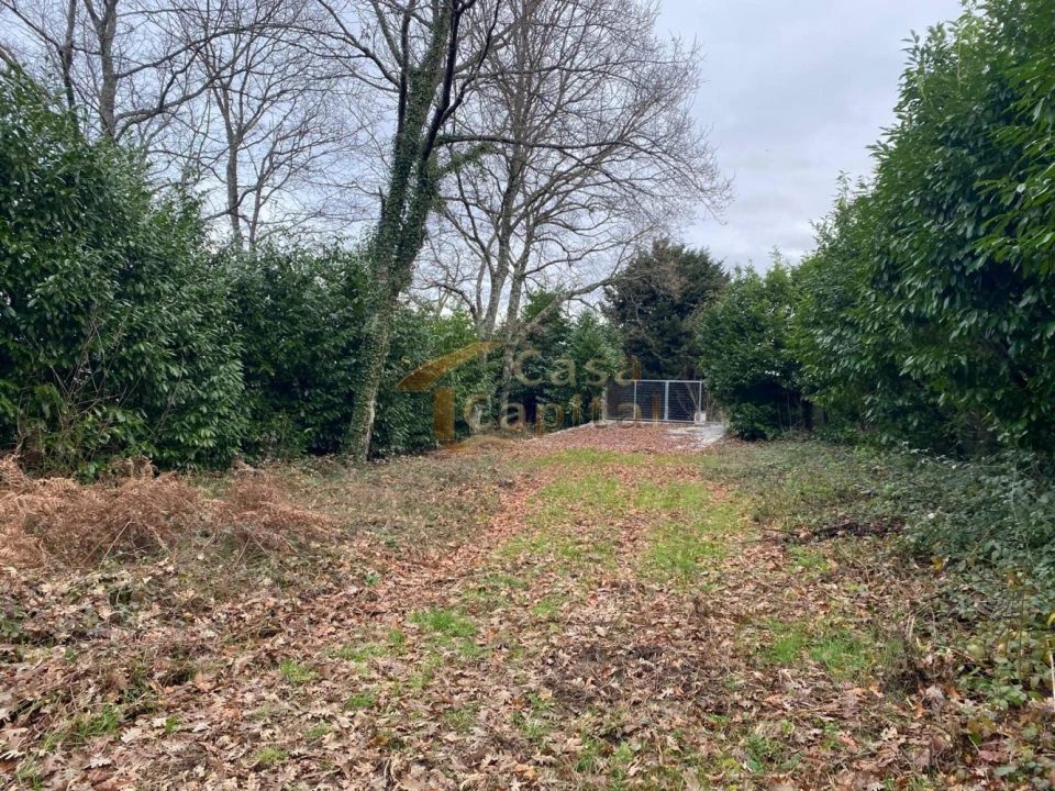 Terreno para Venda em Vila Marim Foto 16