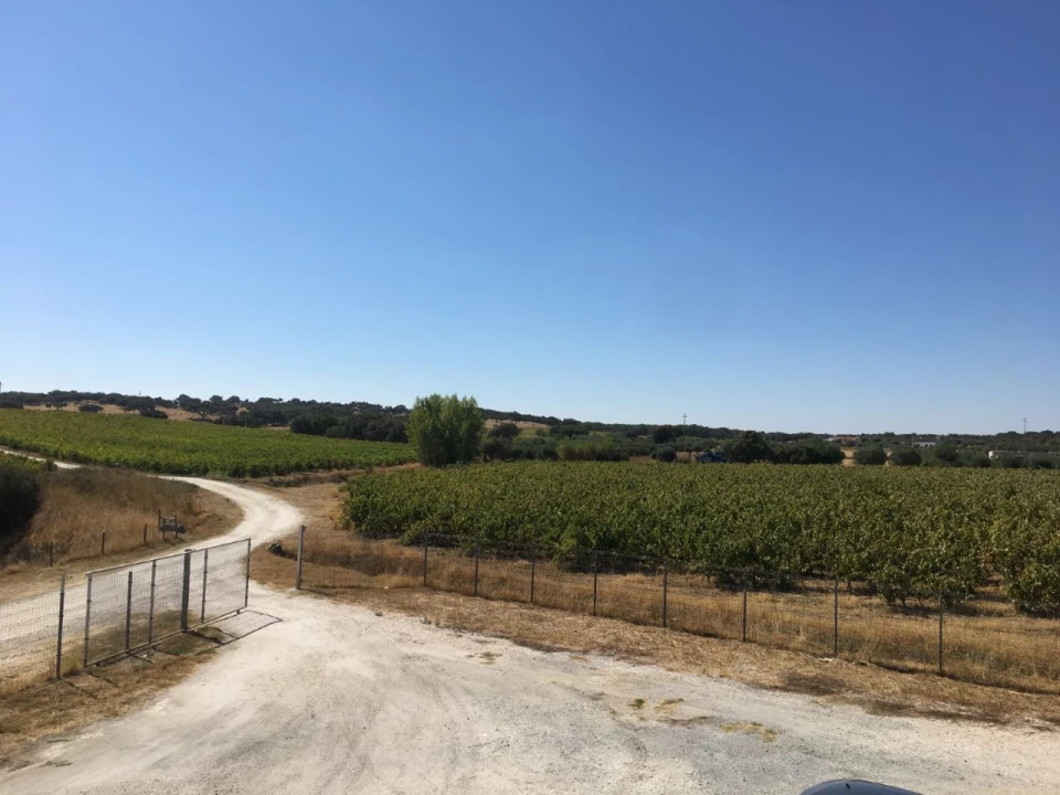 Quinta para Venda em Redondo Foto 2