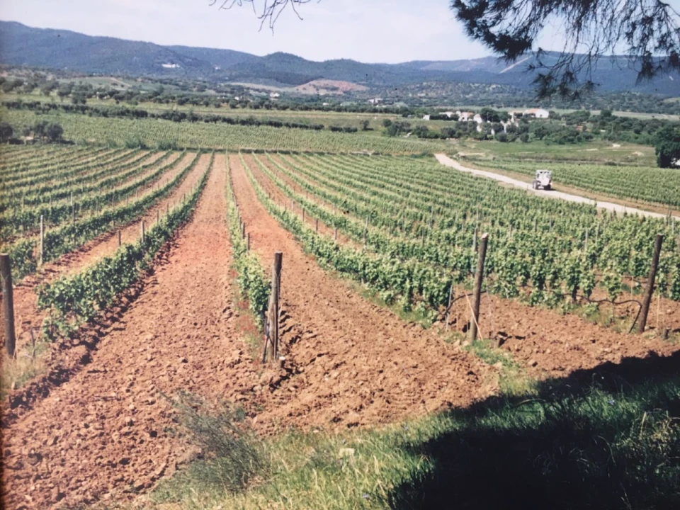 Quinta para Venda em Redondo Foto 1