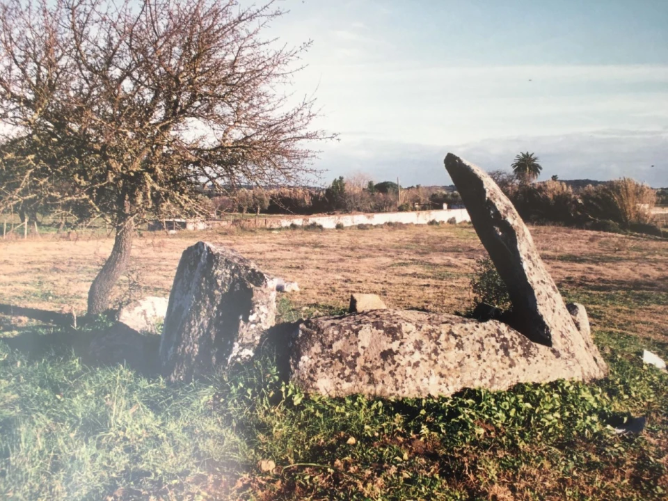 Quinta para Venda em Redondo Foto 9