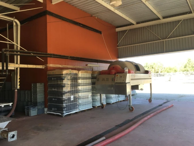 Quinta para Venda em Redondo Foto 4