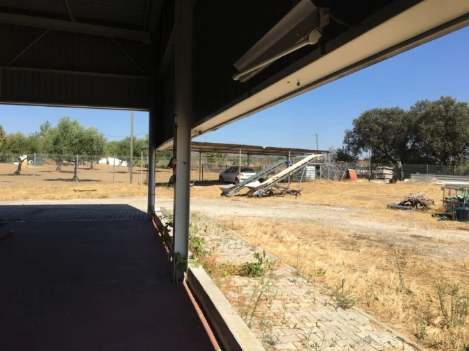 Quinta para Venda em Redondo Foto 12