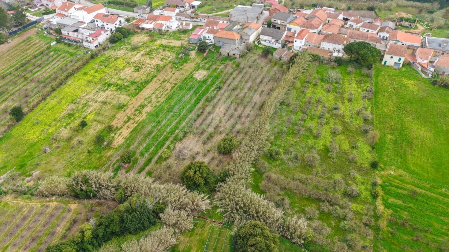 Terreno para Venda em Usseira Foto 8