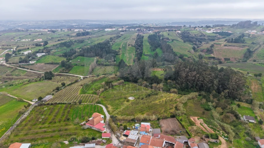 Terreno para Venda em Usseira Foto 12
