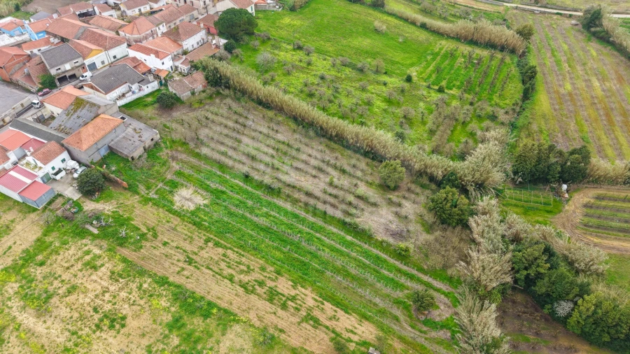 Terreno para Venda em Usseira Foto 10