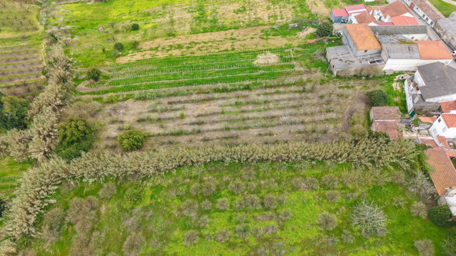 Terreno para Venda em Usseira Foto 7
