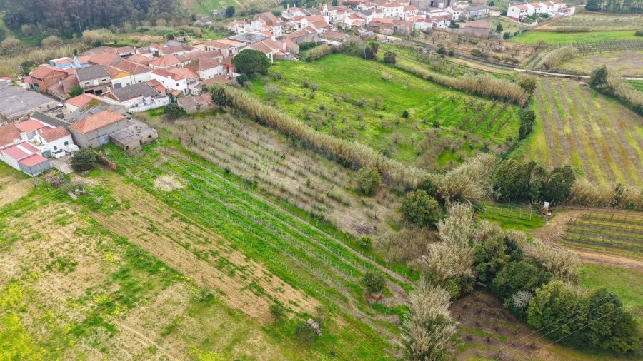 Terreno para Venda em Usseira Foto 9