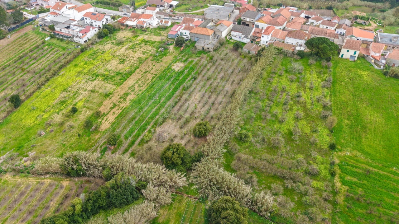 Terreno para Venda em Usseira Foto 8