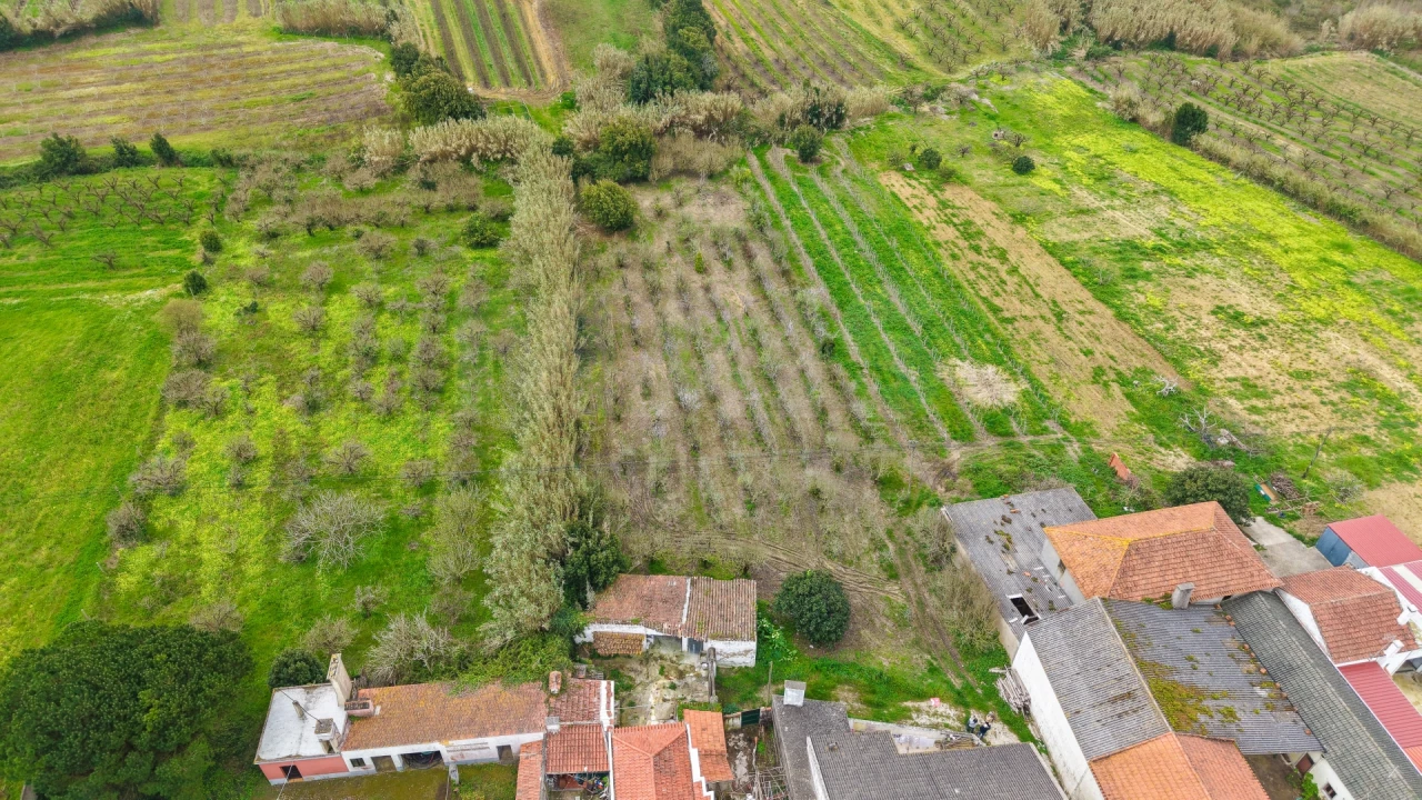Terreno para Venda em Usseira Foto 5