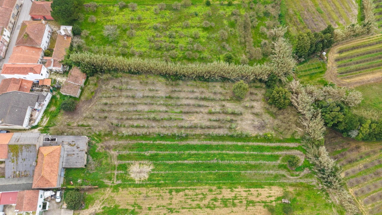 Terreno para Venda em Usseira Foto 11