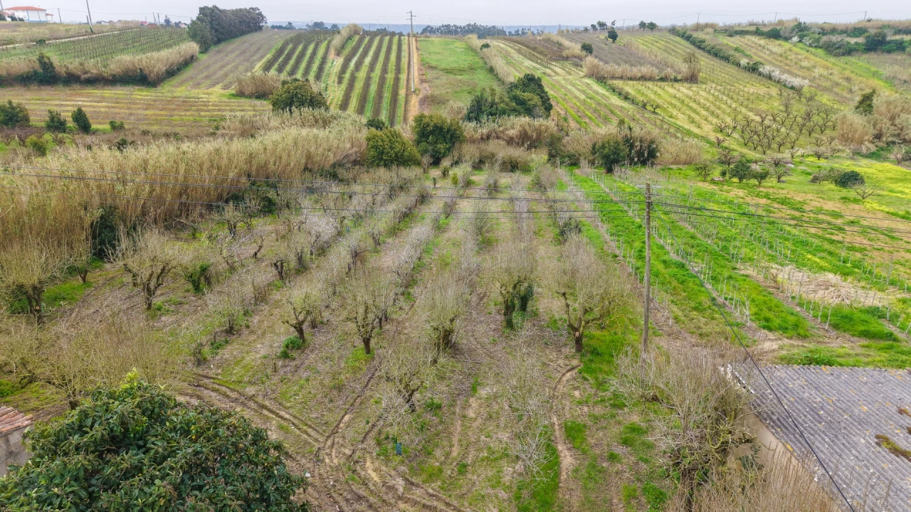 Terreno para Venda em Usseira Foto 4