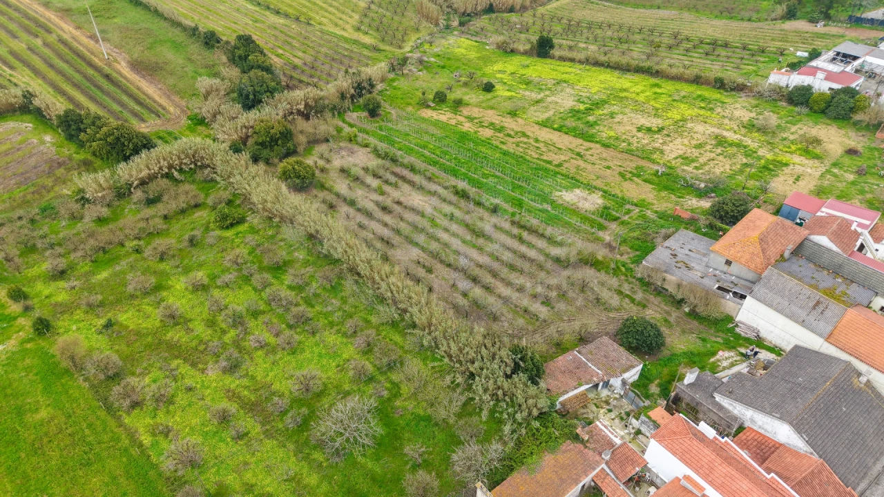 Terreno para Venda em Usseira Foto 6