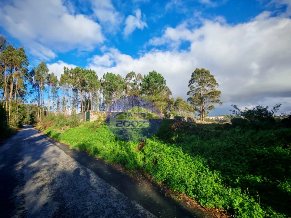 Terreno para Venda em São João de Ver Foto 1