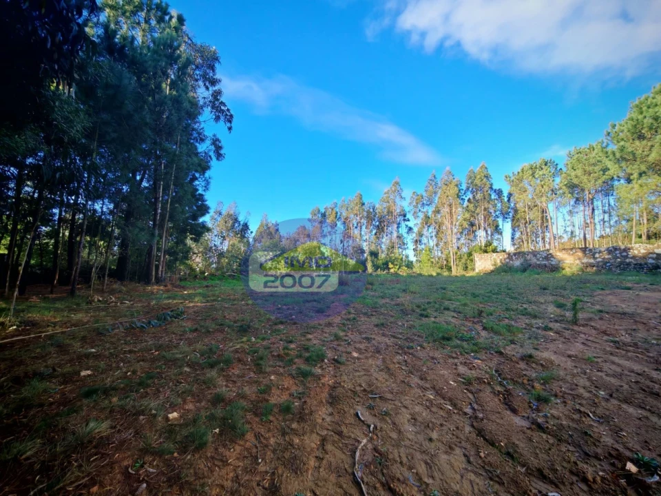Terreno para Venda em São João de Ver Foto 5