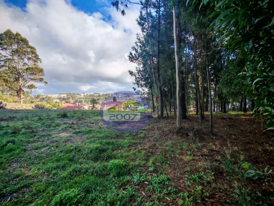 Terreno para Venda em São João de Ver Foto 9