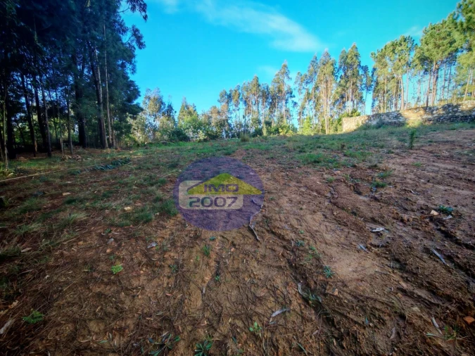 Terreno para Venda em São João de Ver Foto 2