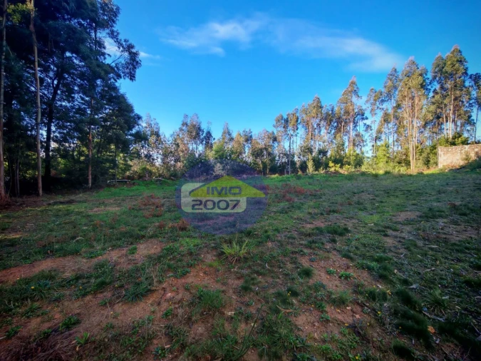 Terreno para Venda em São João de Ver Foto 3