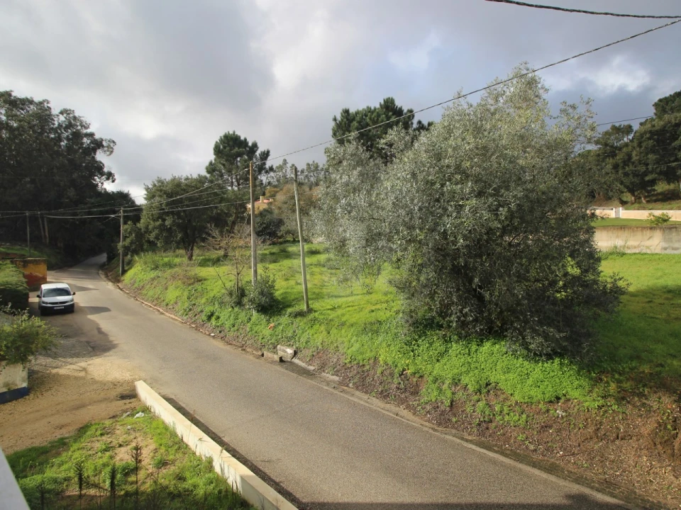 Armazém para Venda em Salir de Matos Foto 6