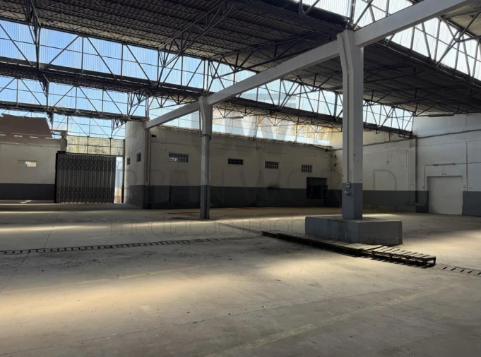 Armazém para Venda em Alcanena e Vila Moreira Foto 3