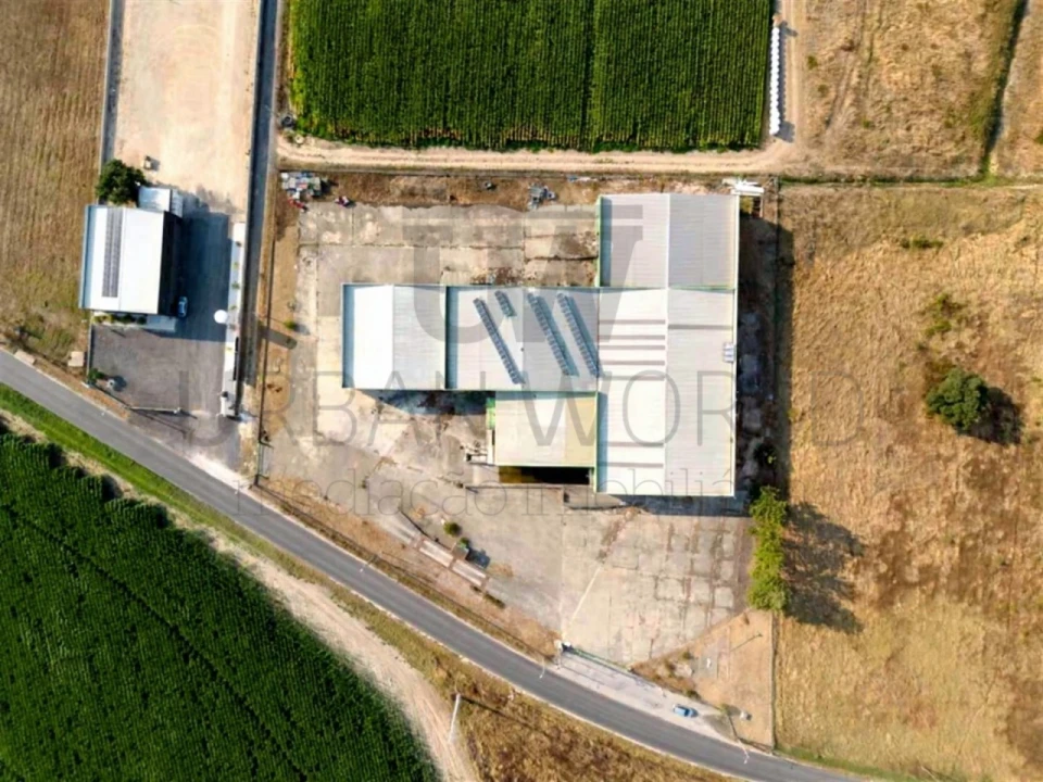 Armazém para Venda em Salvaterra de Magos e Foros de Salvaterra Foto 2