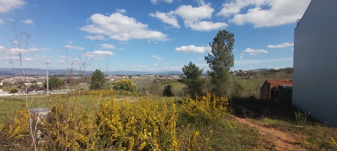 Terreno para Venda em Merelim (São Paio), Panoias e Parada de Tibães Foto 3
