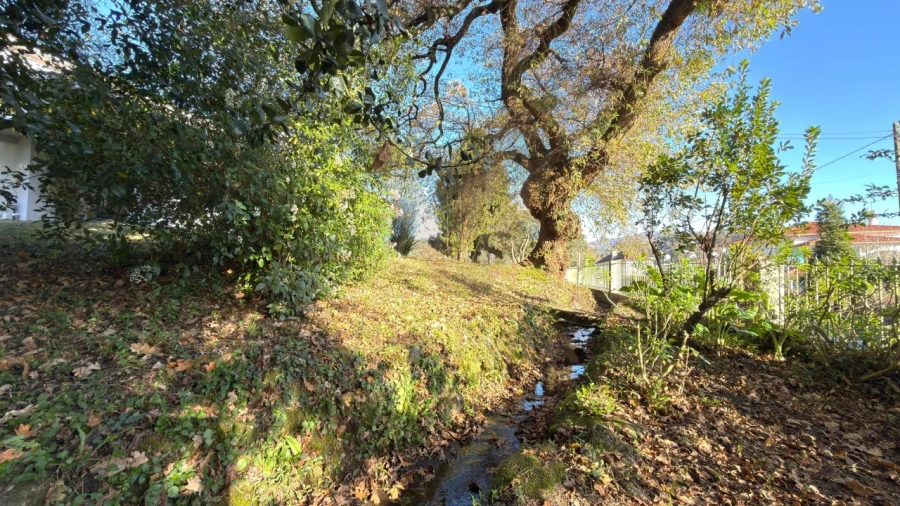 Moradia T3 para Venda em Navió e Vitorino dos Piães Foto 10