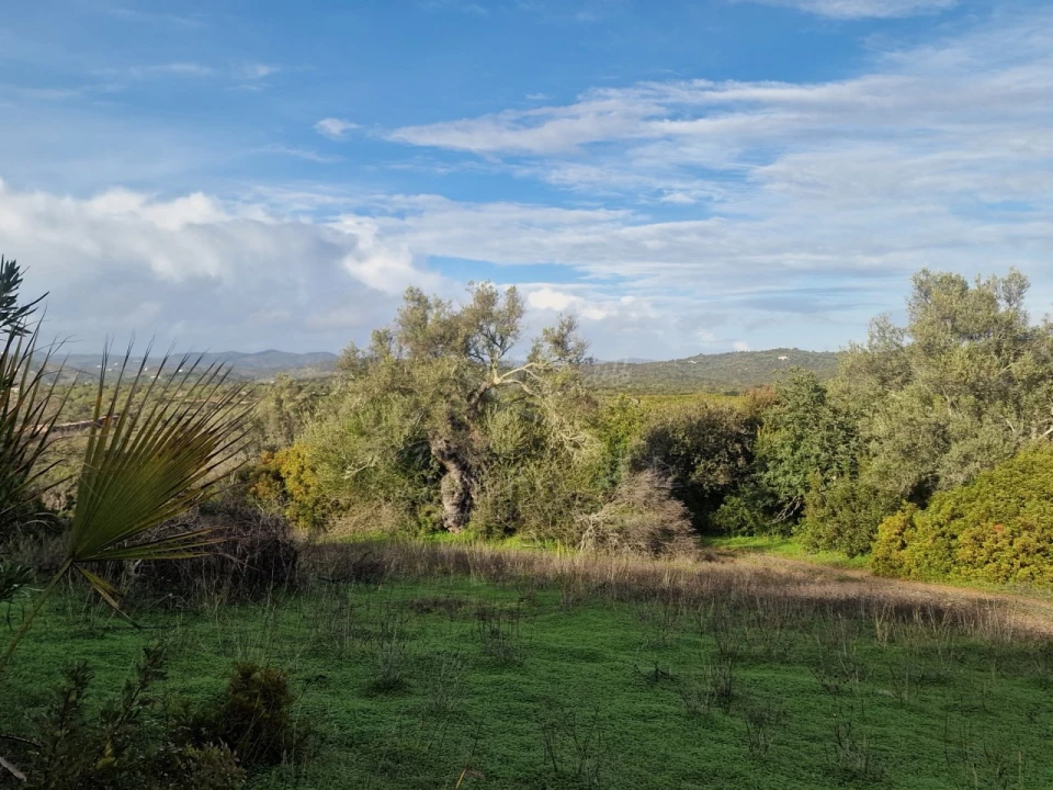 Moradia T3 para Venda em Moncarapacho e Fuseta Foto 25