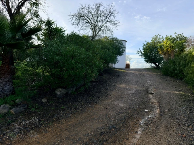 Moradia T3 para Venda em Moncarapacho e Fuseta Foto 23