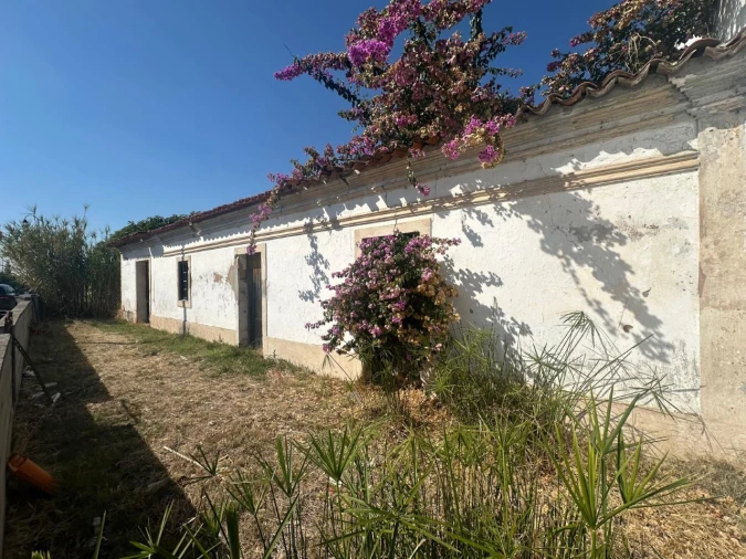 Moradia T3 para Venda em Pego Foto 19