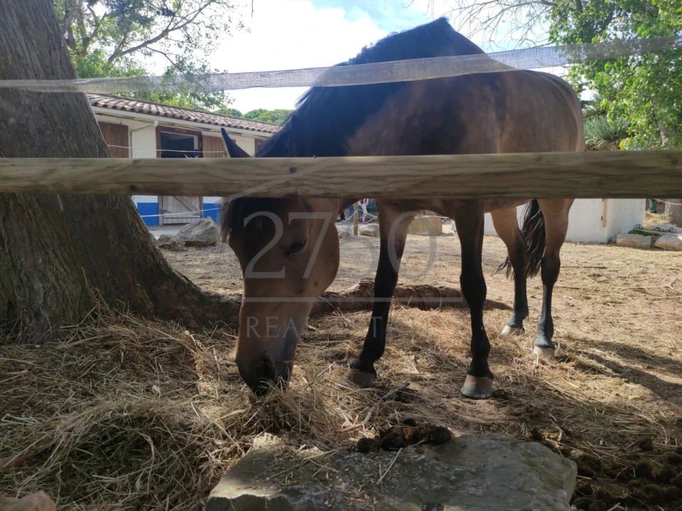 Moradia T6 para Arrendamento em Cascais e Estoril Foto 2