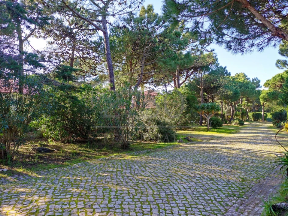 Moradia T6 para Arrendamento em Cascais e Estoril Foto 16